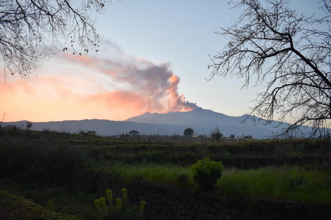 Etna Tra Le Querce Βίλα Santa Venerina Εξωτερικό φωτογραφία